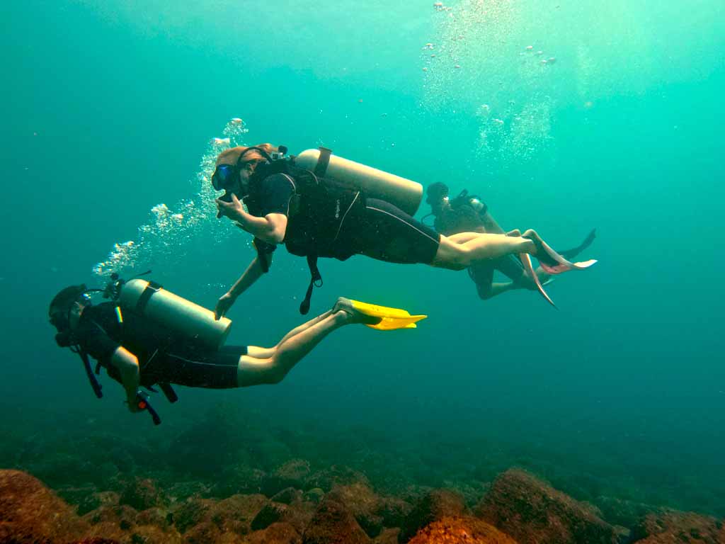 Diving Mirissa